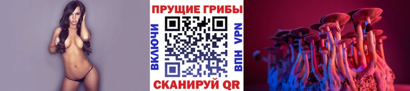 закладки Белорецк Псилоцибиновые грибы Psilocybe