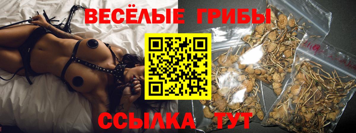Галлюциногенные грибы Psilocybe  Псилоцибиновые грибы MAGIC MUSHROOMS  закладка  Белорецк  Вход с VPN 